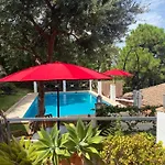 Casa Simba (adults Only) Πανσιόν 4*