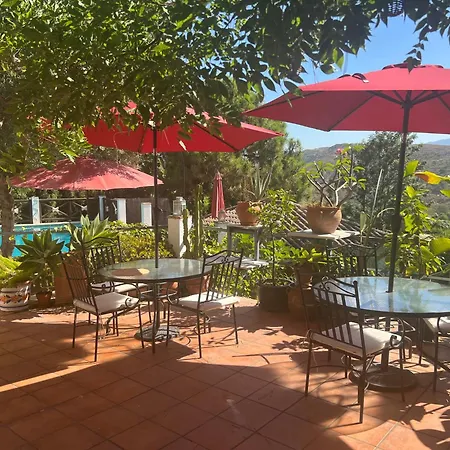 Casa Simba (adults Only) Гостевой дом 4*