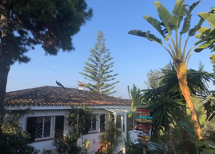 Gasthof Casa Simba (adults Only) Estepona