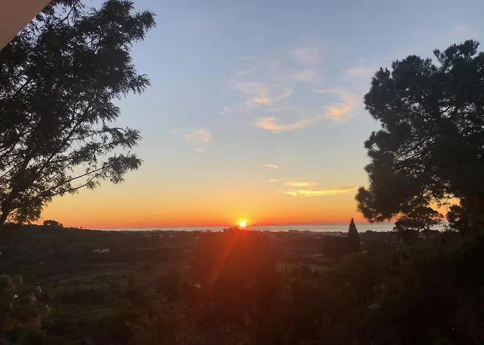 Pensionat Casa Simba (adults Only) Estepona