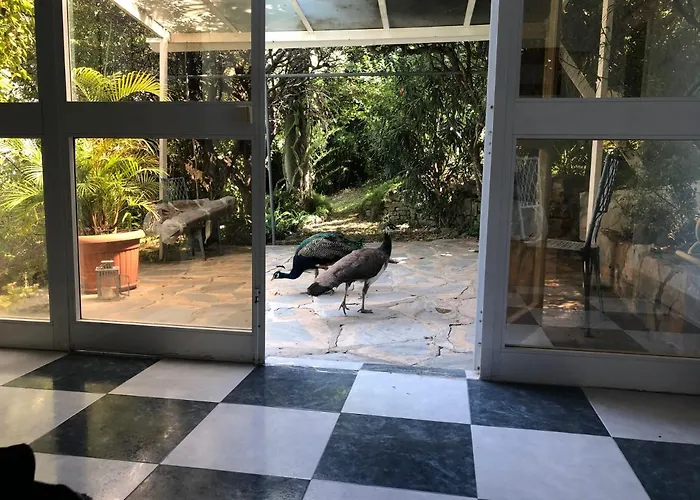 Casa Simba (adults Only) Pensionat