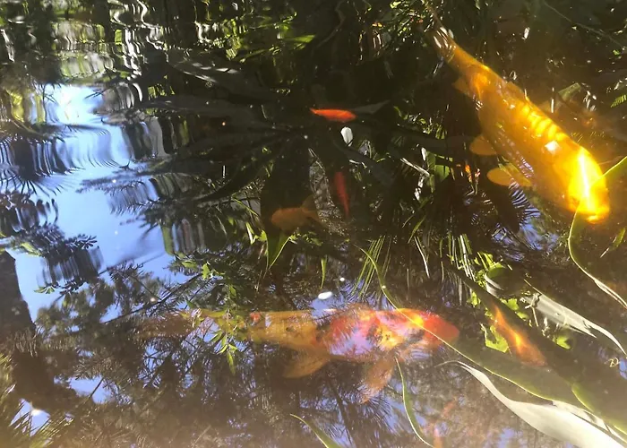 Casa Simba (adults Only) 4* Эстепона