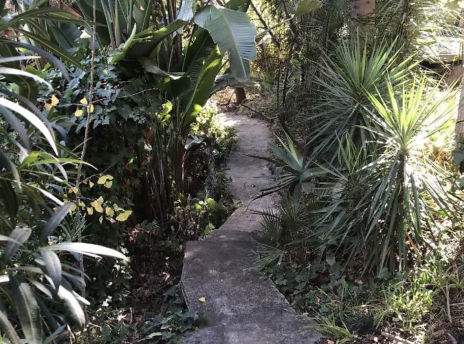 Casa Simba (adults Only) Estepona