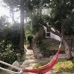 Casa Simba (adults Only) 4*