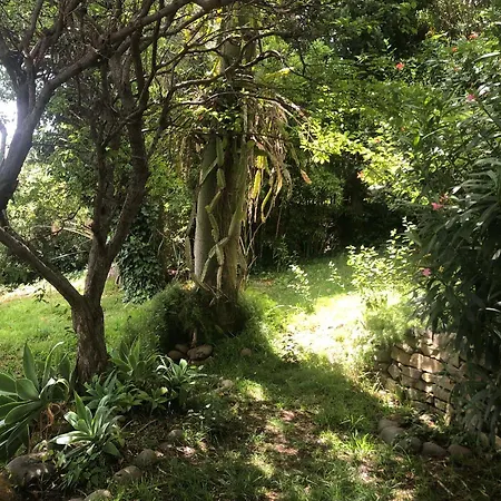 Casa Simba Guest House Adults Only 4*