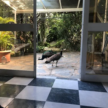 Casa Simba (adults Only) Guest house