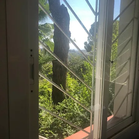 Casa Simba Guest House Adults Only Estepona
