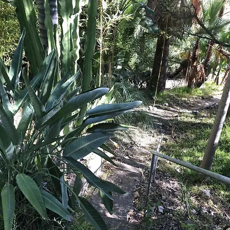 Casa Simba (adults Only) Guest house