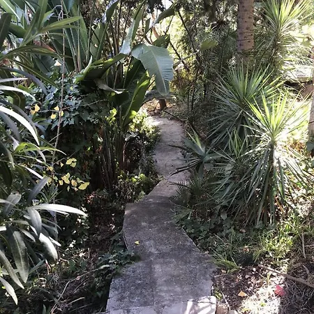 Casa Simba Guest House Adults Only Estepona