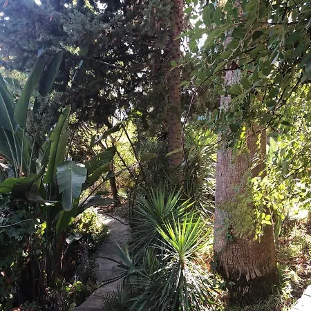 Casa Simba Guest House Adults Only 4* Estepona