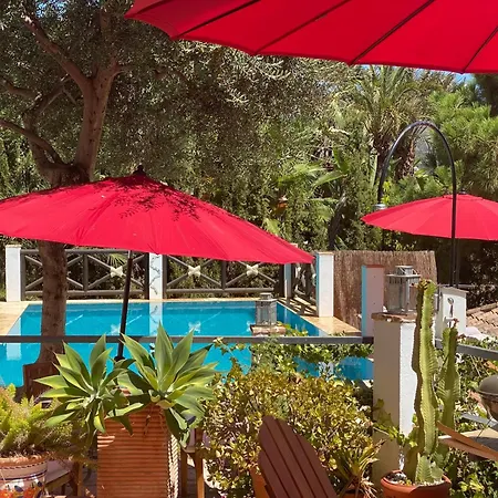 Casa Simba Guest House Adults Only