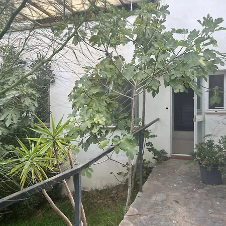 Casa Simba Guest House Adults Only 4*