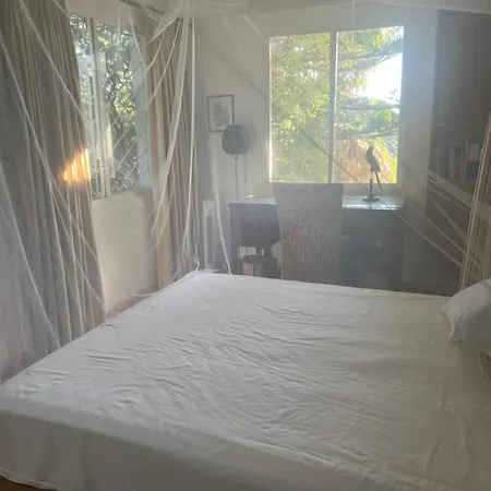 Casa Simba Guest House Adults Only 4* Estepona