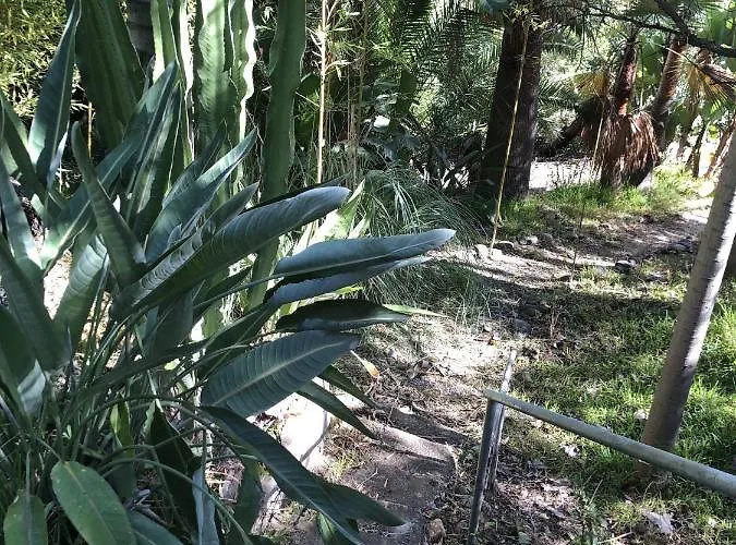 Casa Simba (adults Only) Konukevi