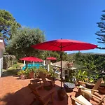 Casa Simba (adults Only) Pensión
