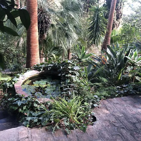 Casa Simba (adults Only) 4* 埃斯特波纳