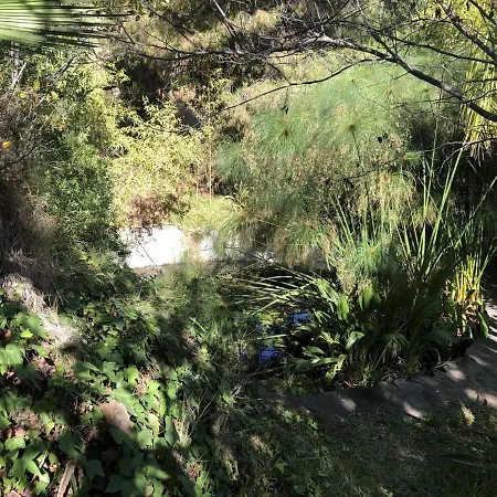 招待所 Casa Simba (adults Only) 4*