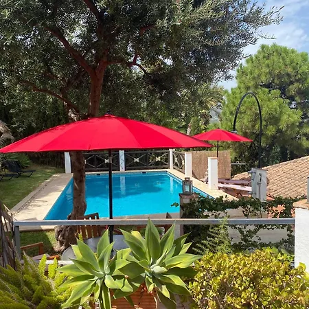 Casa Simba (adults Only) 招待所 4*