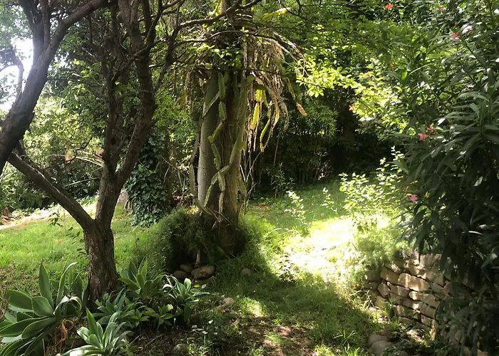 Casa Simba (adults Only) 4*