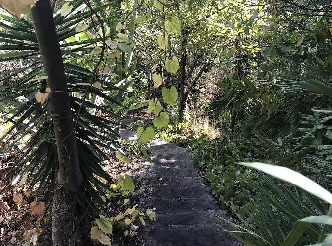 Casa Simba (adults Only) Εστεπόνα