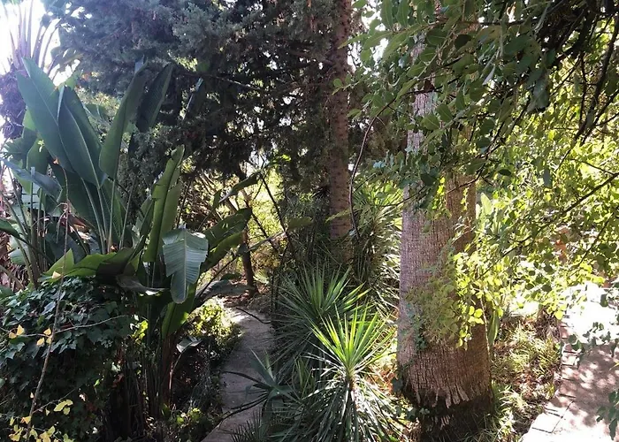 Casa Simba (adults Only) 4* Εστεπόνα