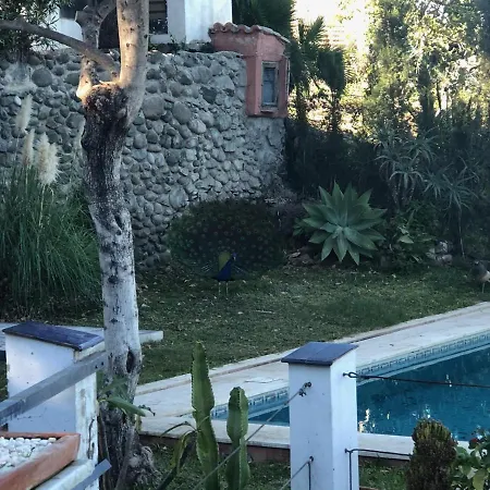 بيت ضيافة Casa Simba (adults Only)