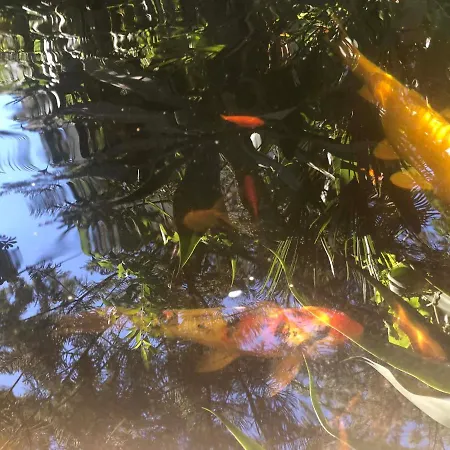 Casa Simba (adults Only) 4* إِستيبونا