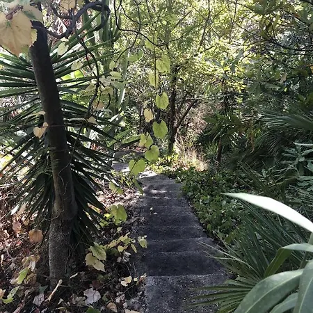 Casa Simba (adults Only) إِستيبونا