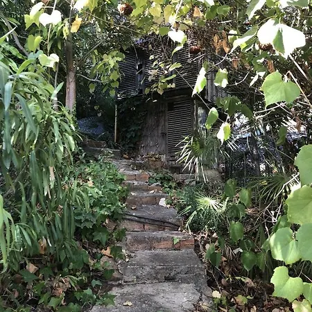 بيت ضيافة Casa Simba (adults Only) إِستيبونا